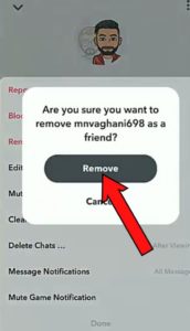 Hit Remove button to remove someone from snapchat group